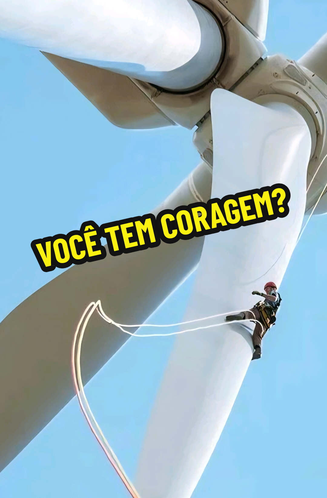 @RAIZ DO SABER