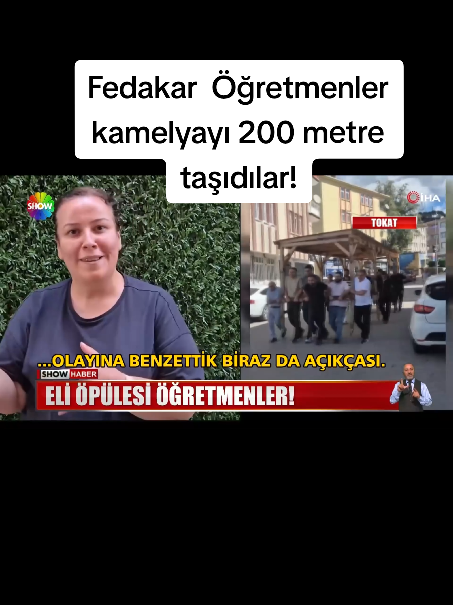 @Sorgunadair