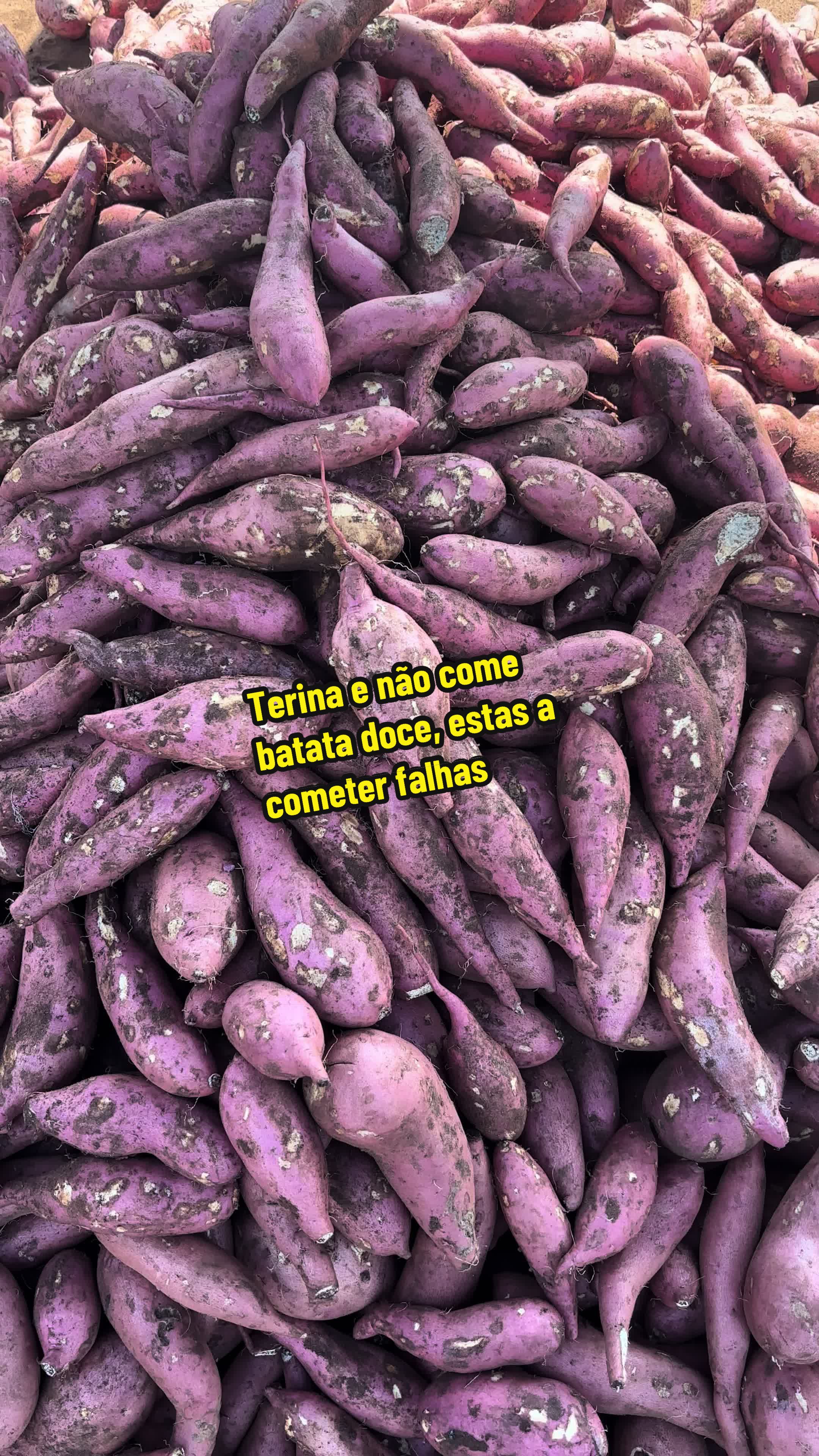 @Felicidade Gotine Firmino