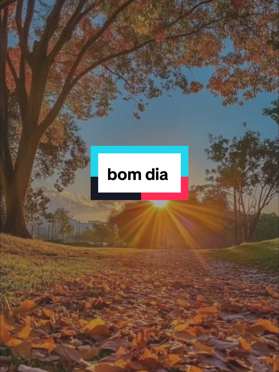 @frases e motivação