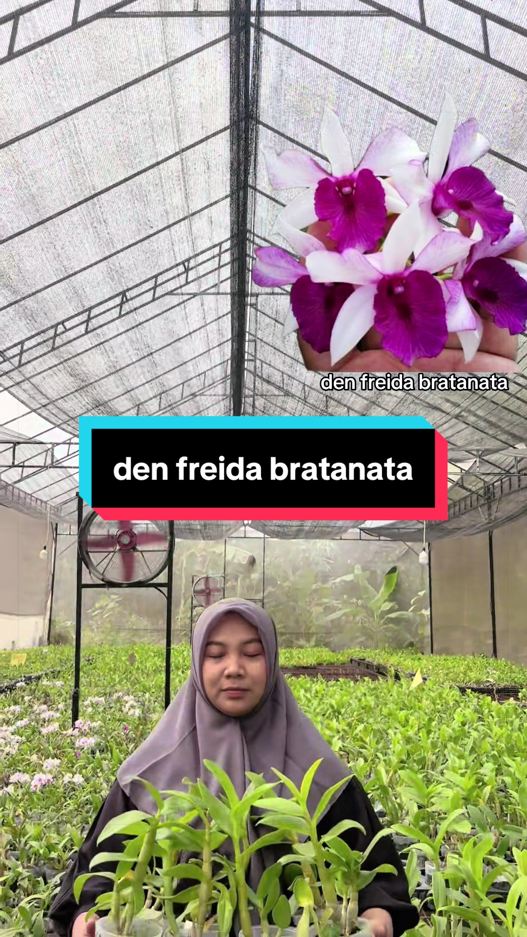 @Griya sekarindo utama