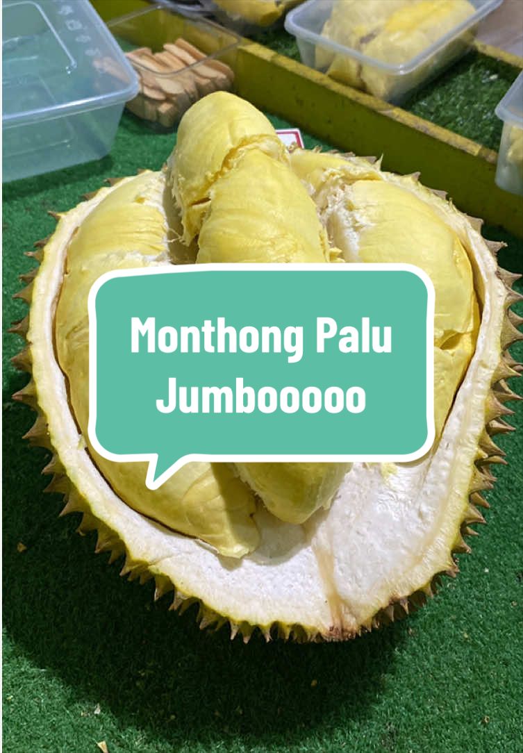@Rumah Tamma Durian