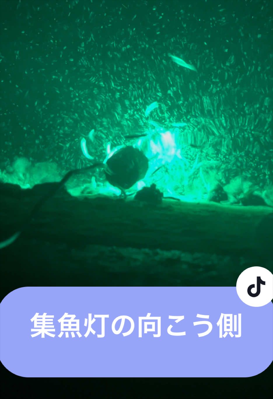 @マニアフィッシング