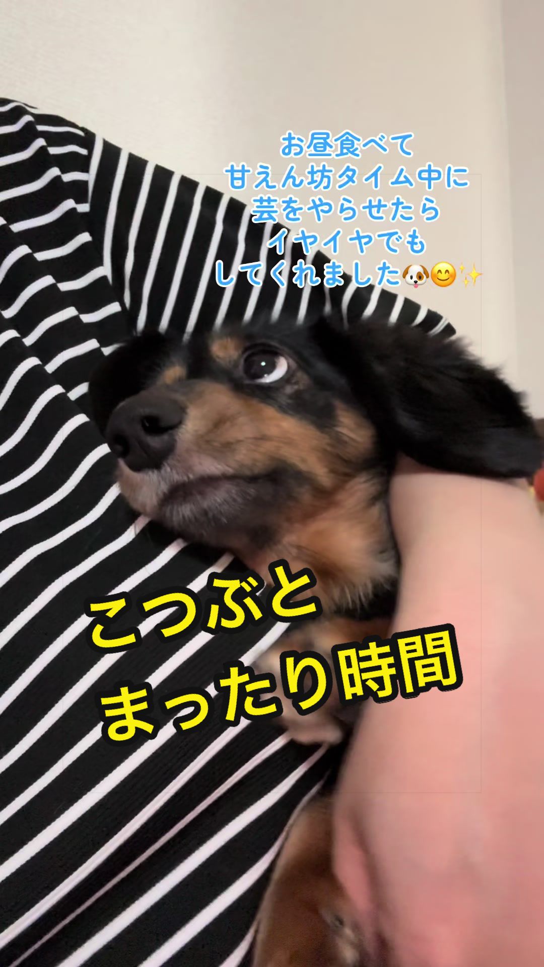 @あすかっきーん🧢💙🐾