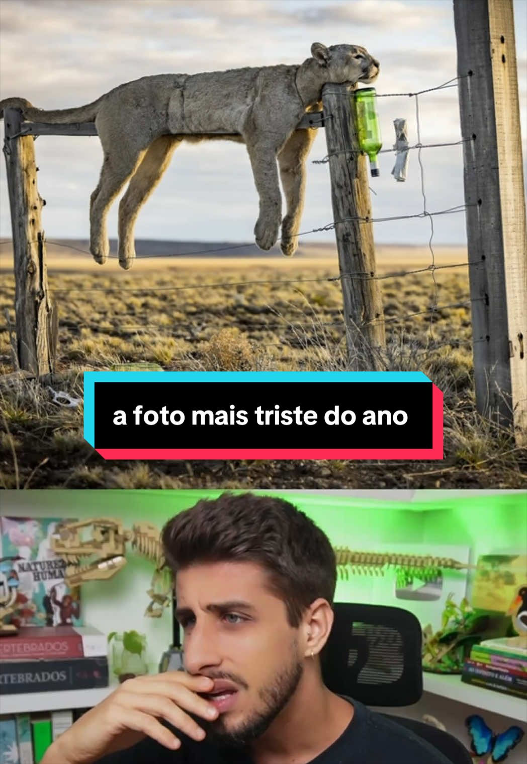 @Yago Stephano
