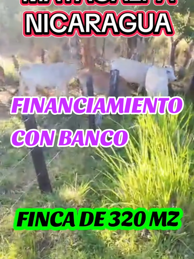 @@ventadefincasnicaragua