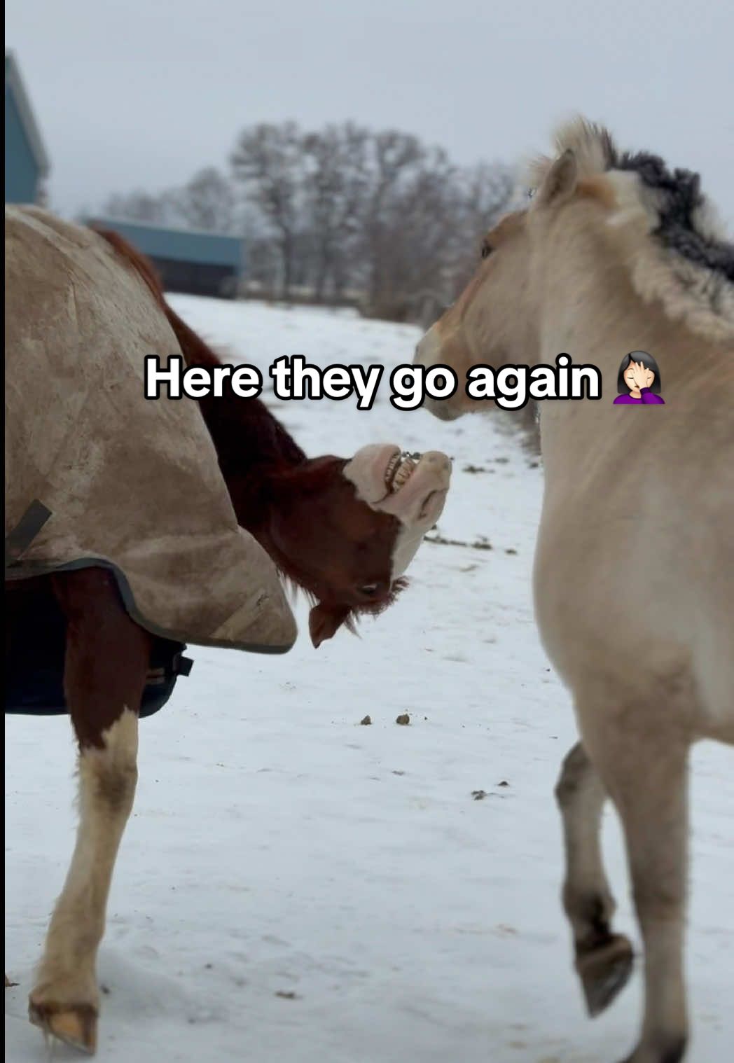 @Sarah