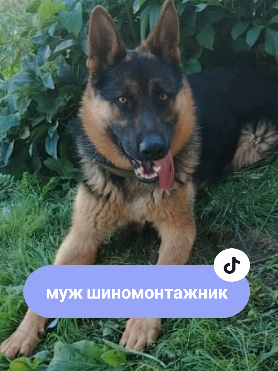 @Рыся✔️🇧🇾
