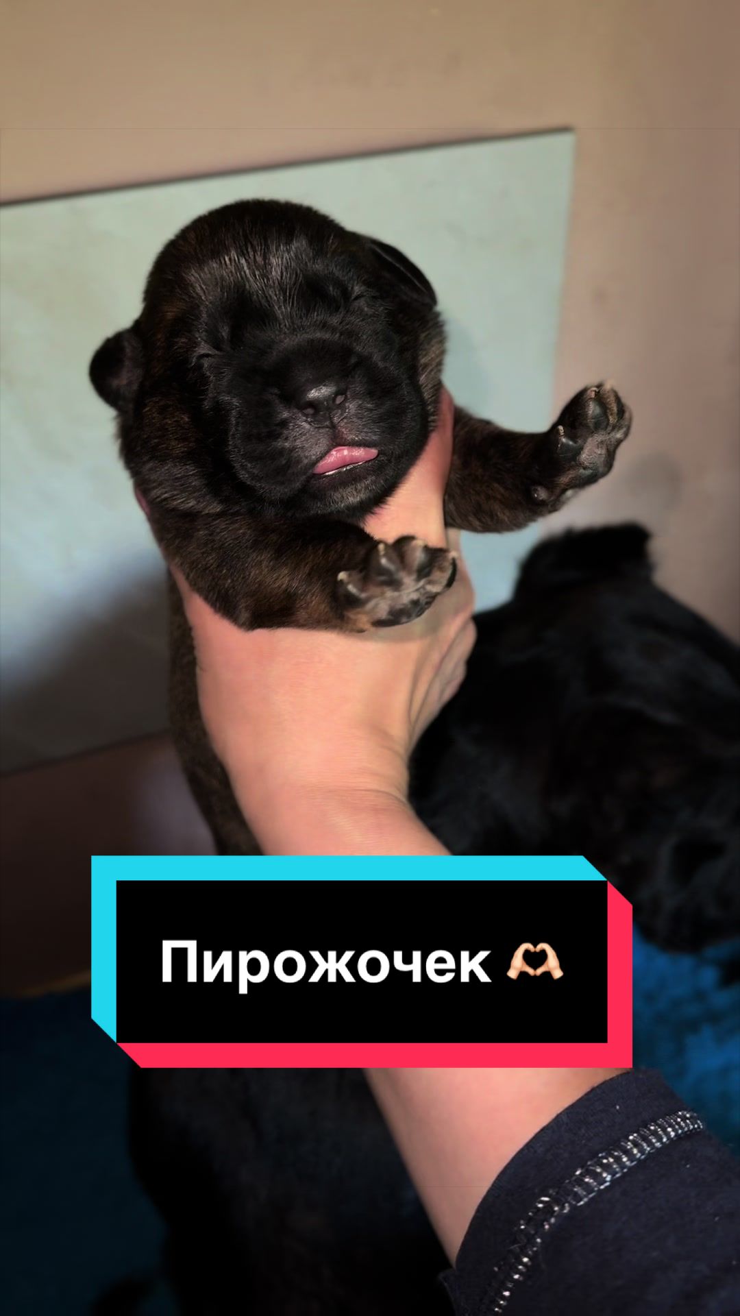 @Infinity Glory 🇺🇦