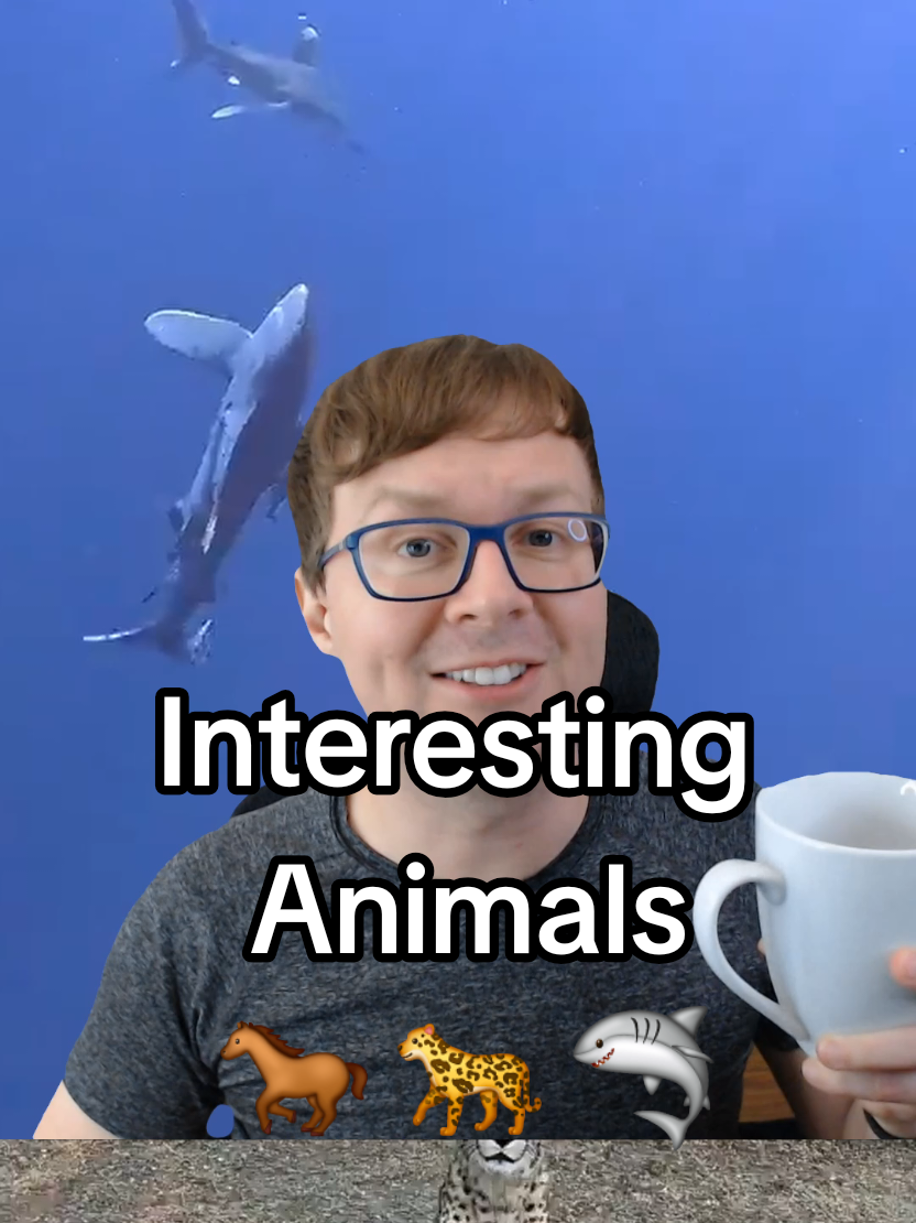 @Interesting Things Guy