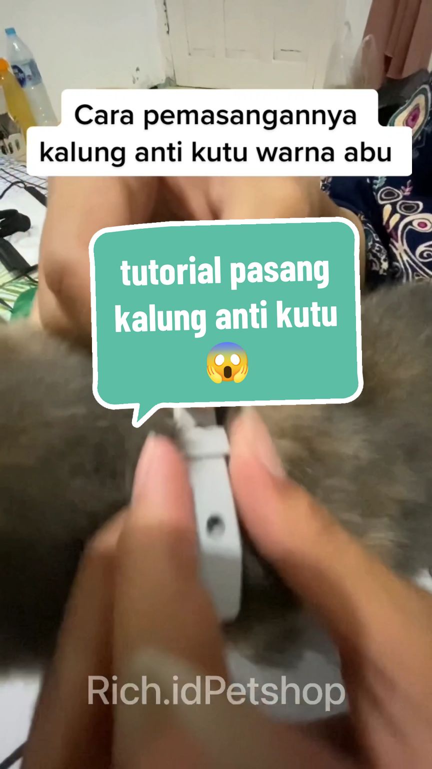 @Rich.id Petshop