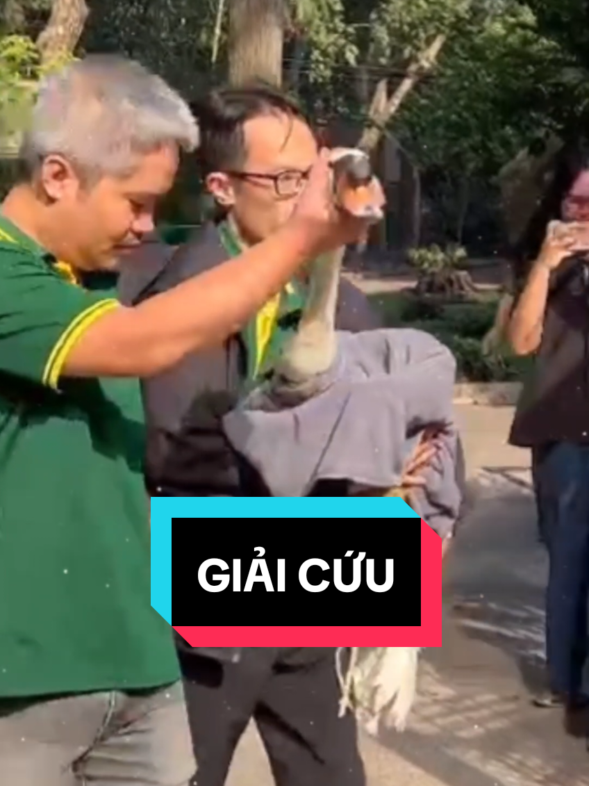 @Sài Gòn Đó Đây