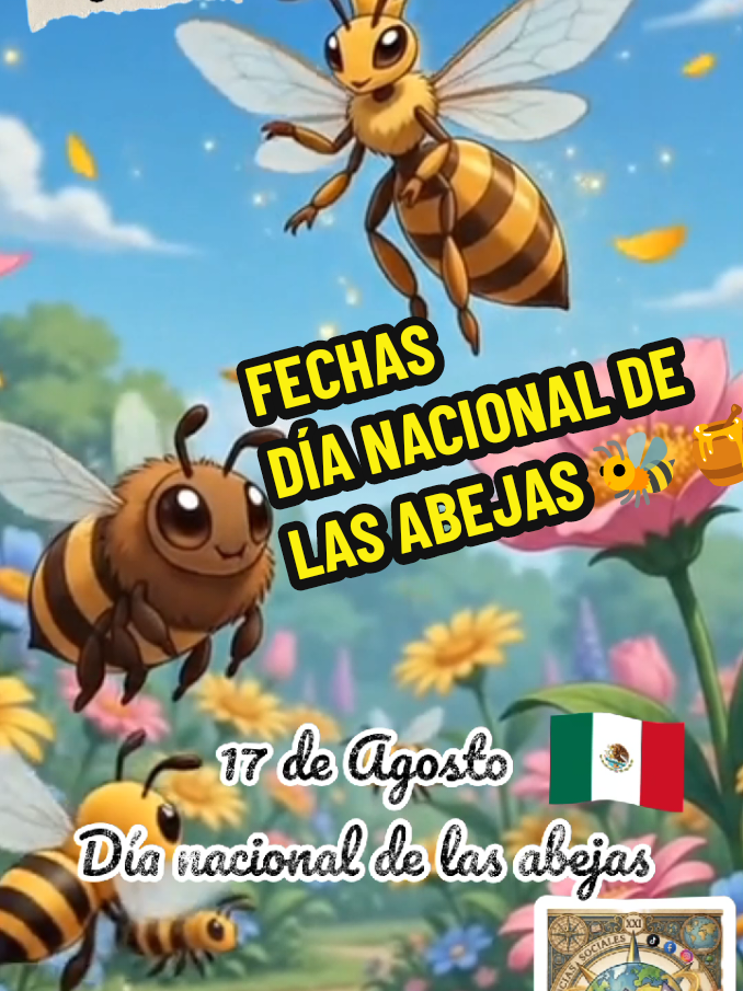 @Vitmagen (V.Magallón)