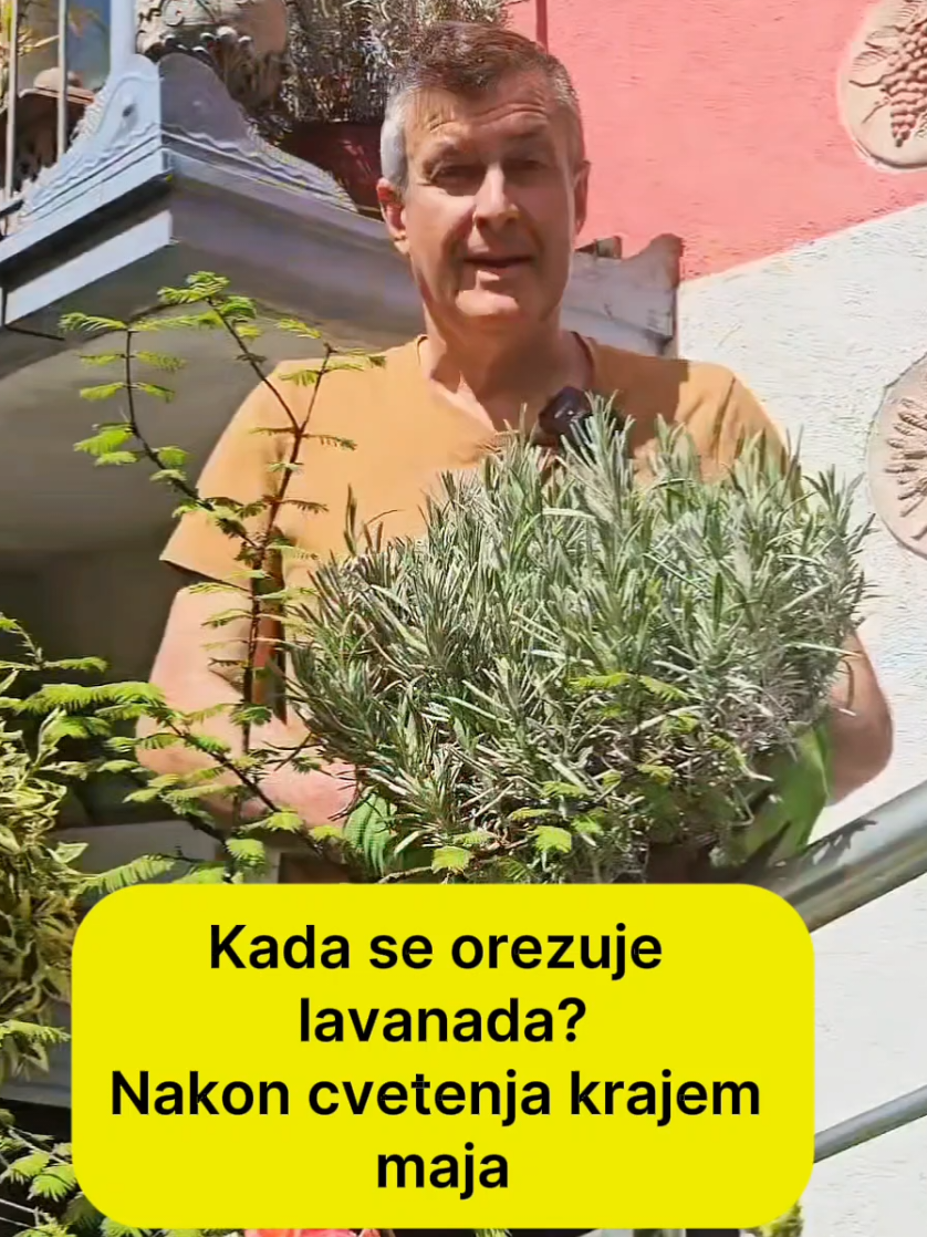 @Dejan Dragićević