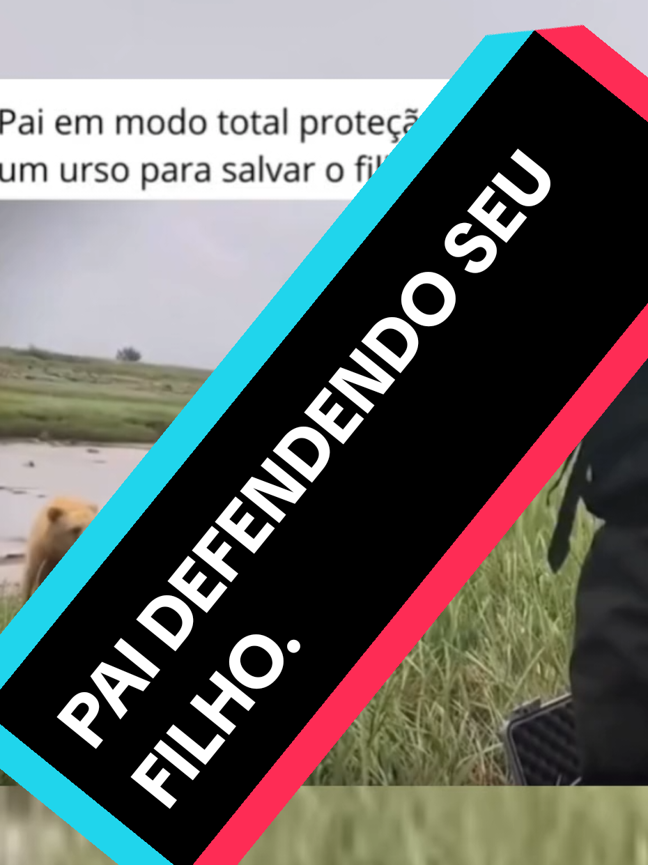 @AokiTCG