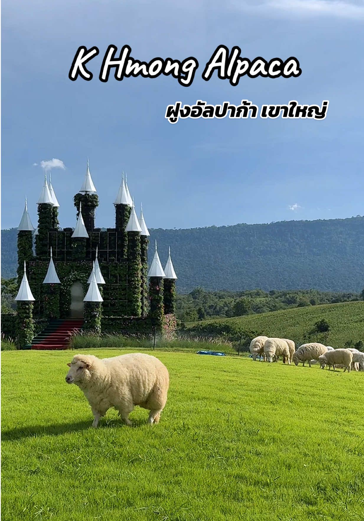@เกิดแต่กับแม่เนว
