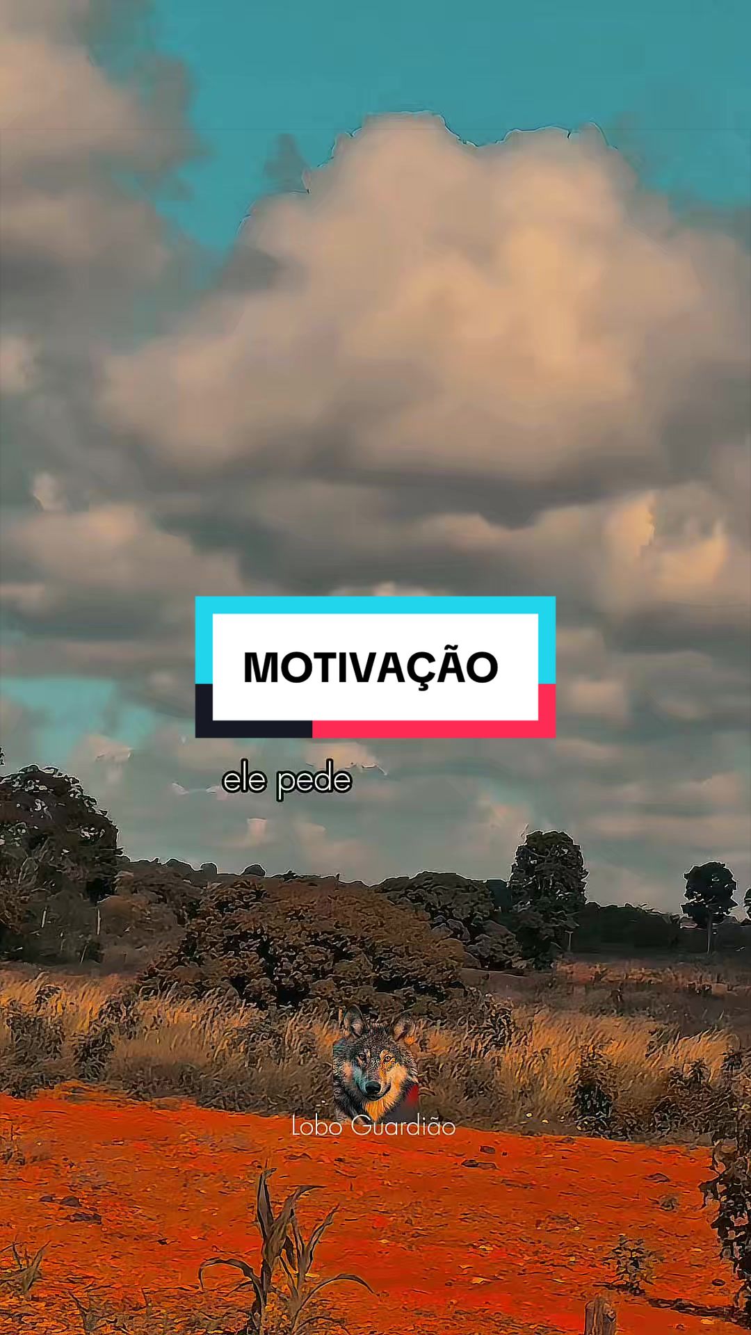 @🌻Cella Silva 🌻