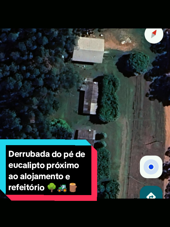 @🌲OperadorFlorestal🪵Ernandes.