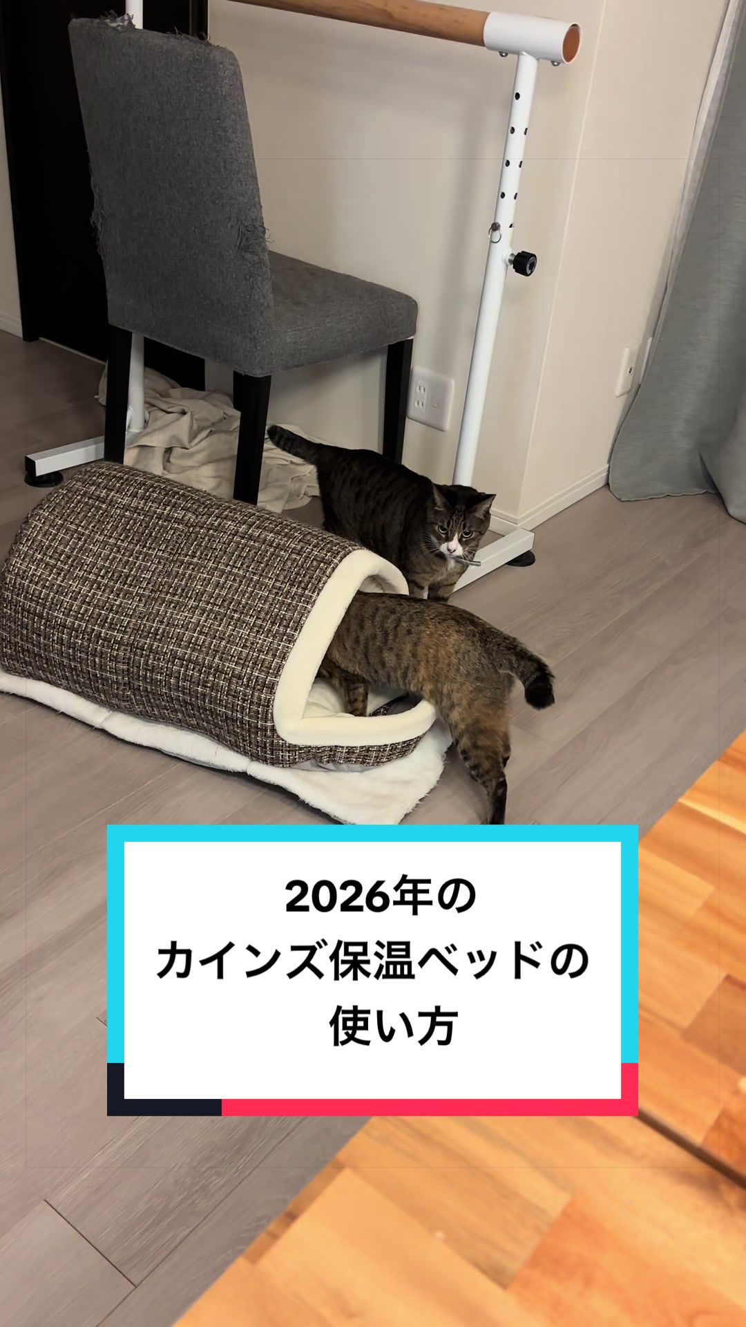 @ルーレオ