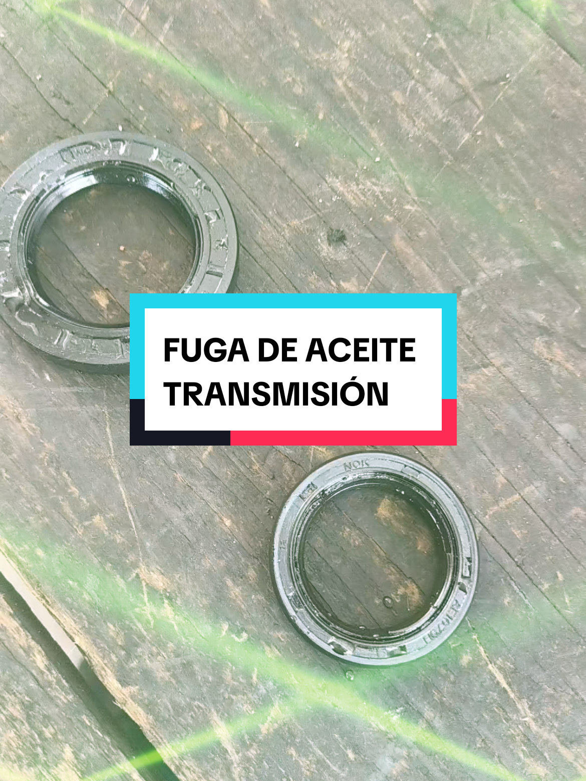 @Grupo Técnico Automotriz🇲🇽🌎