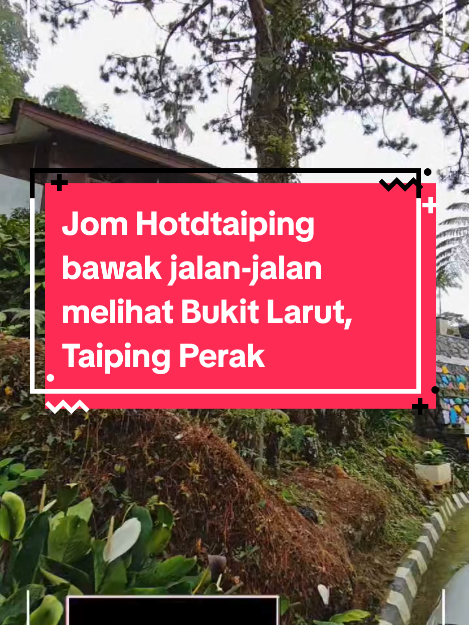 @HotDTaipinghdt