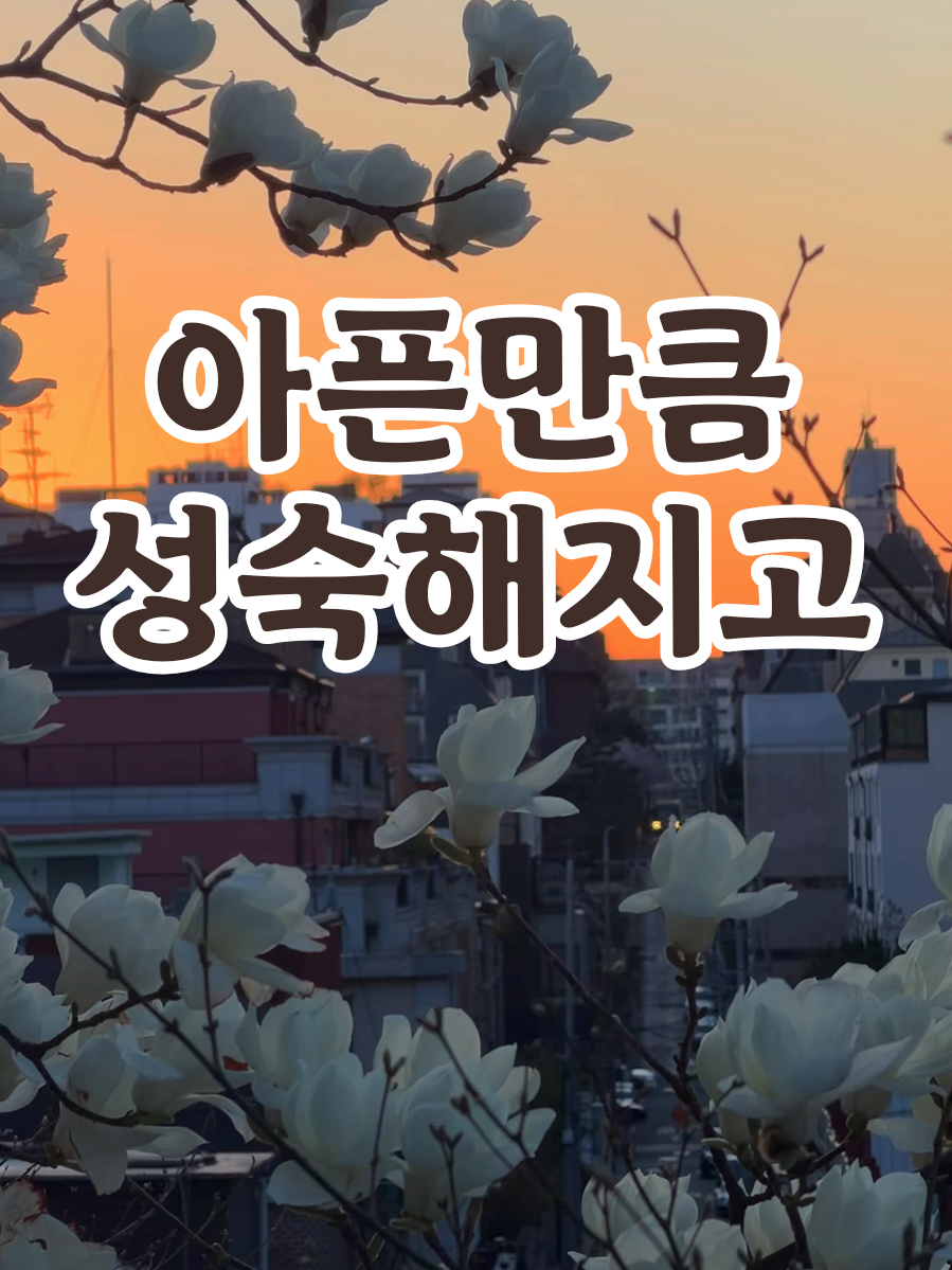 @송화찌