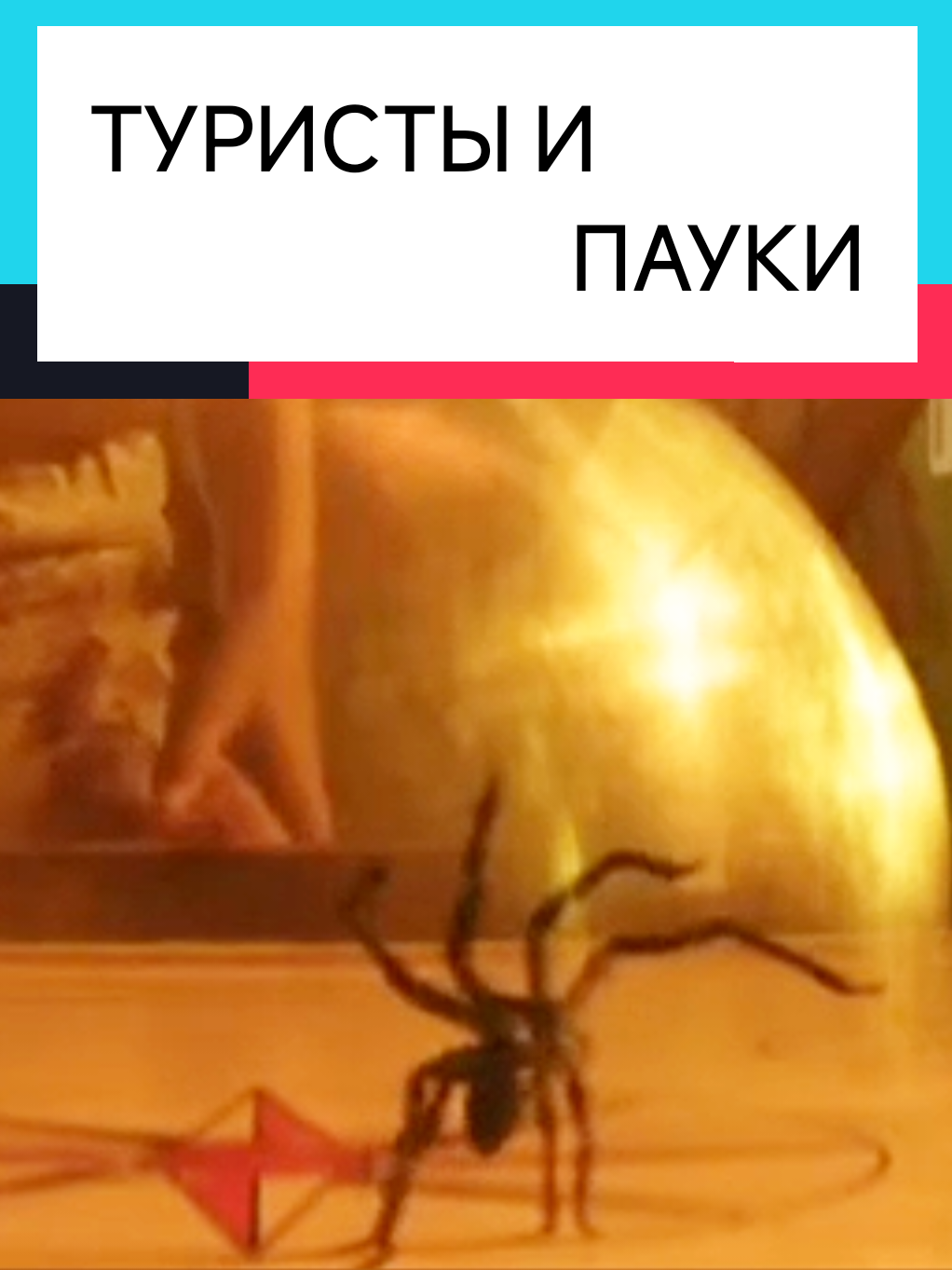 @kino_hits