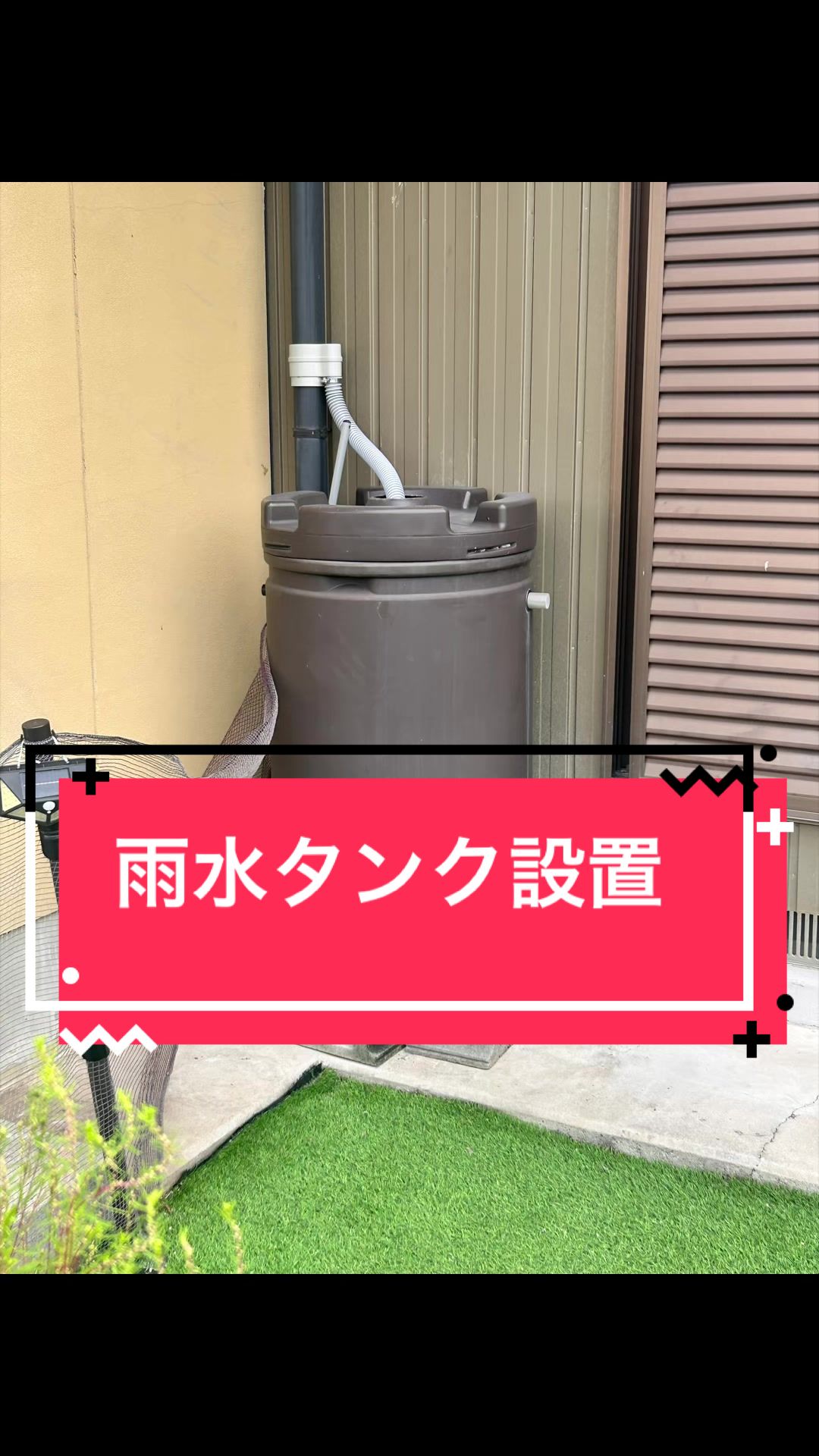 @カンキツ