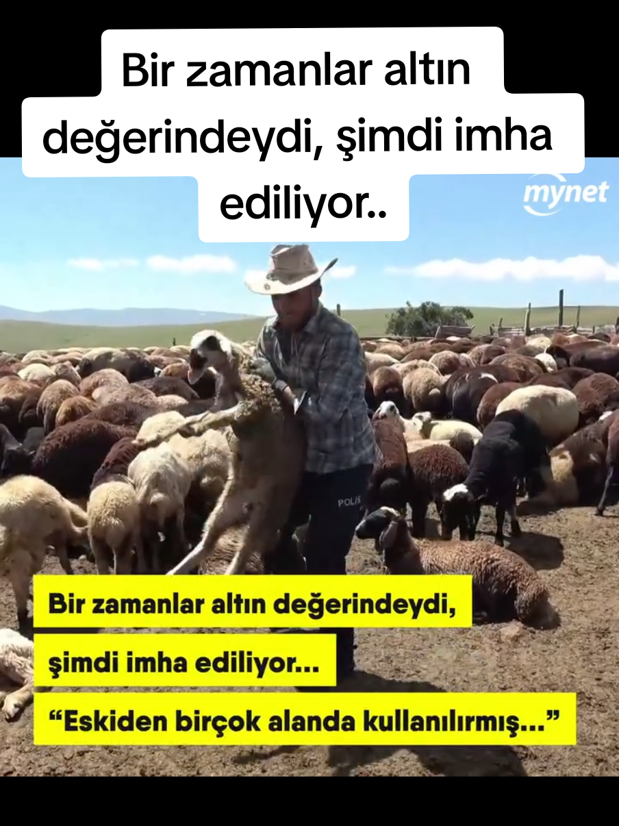 @Sorgunadair