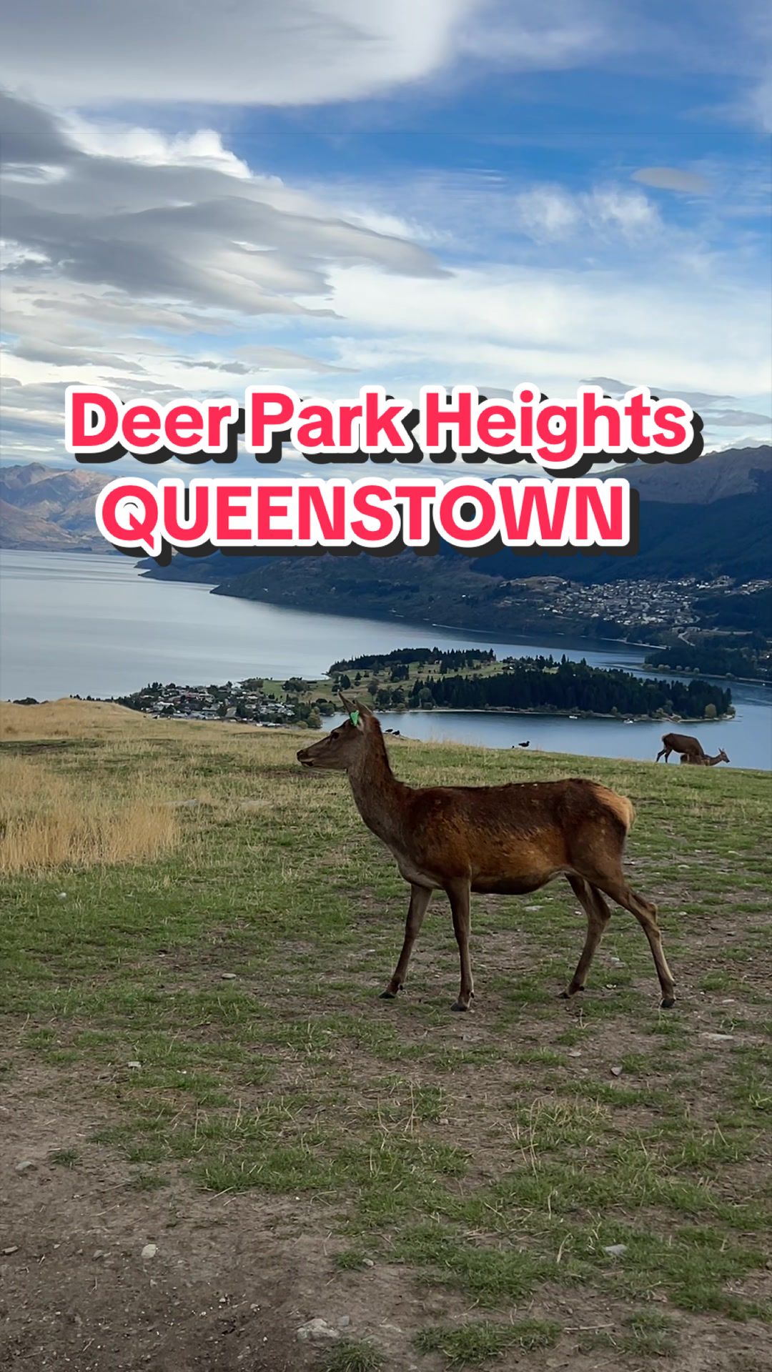 @Aian in New Zealand 🇵🇭🇳🇿