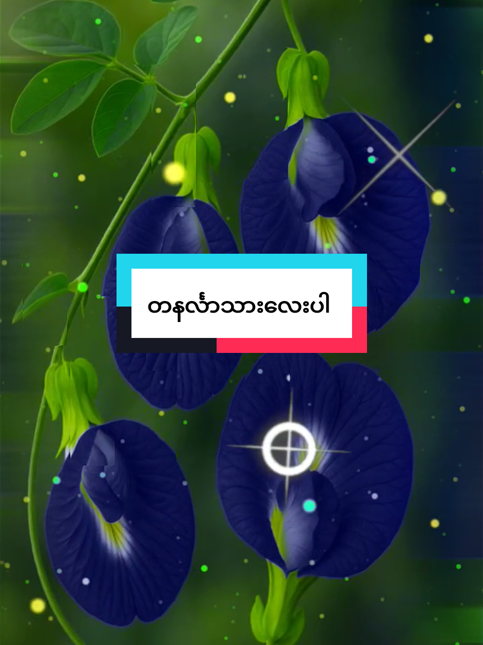 @đ
đ
~đđ¨~đđ˛đ˘