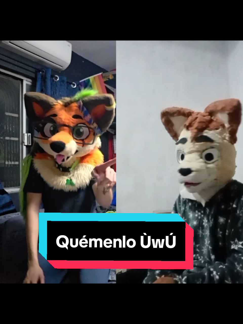 @Dusk Uri 🦊🐍💚