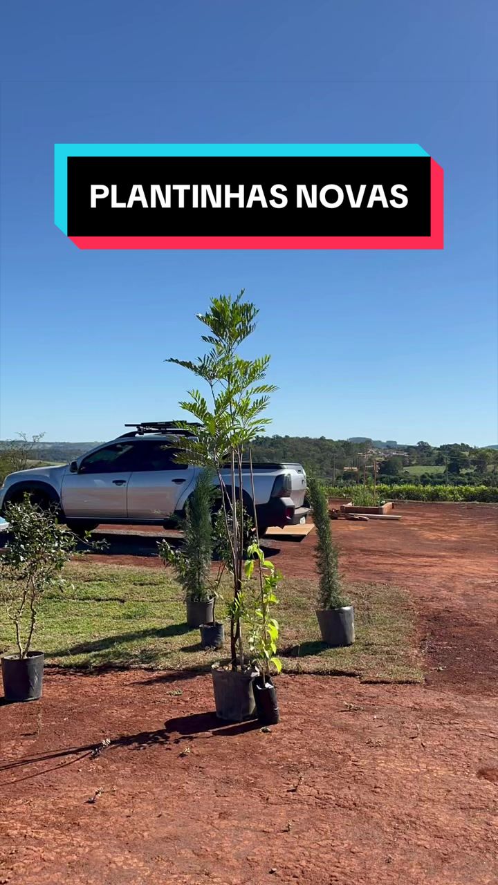 @Chácara N’Roça
