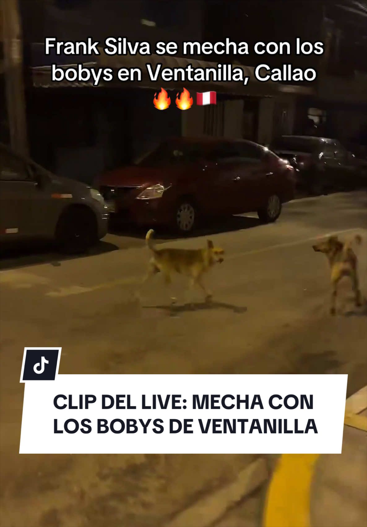 @Frank Silva 🇵🇪
