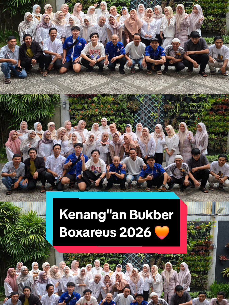 @BOXAREUS