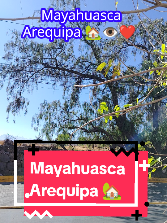 @Mayahuasca❤️