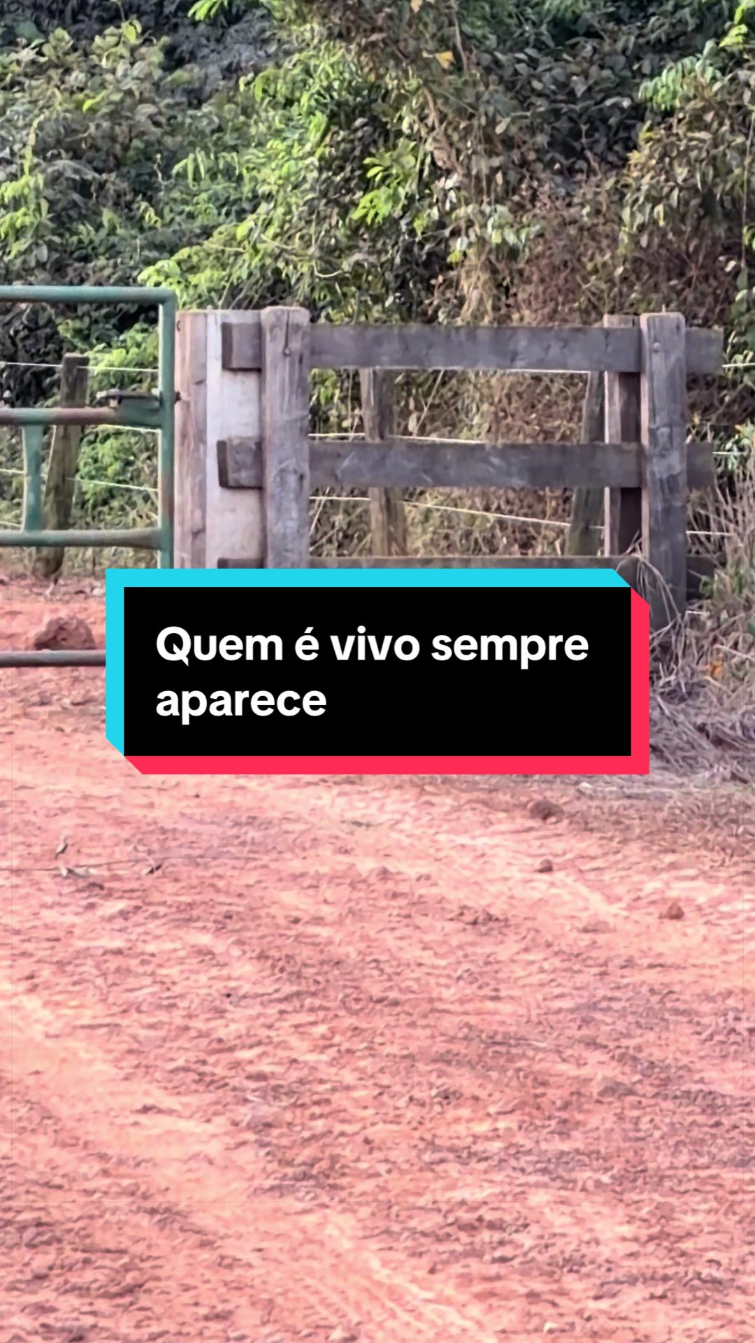 @🍀Santos🚜