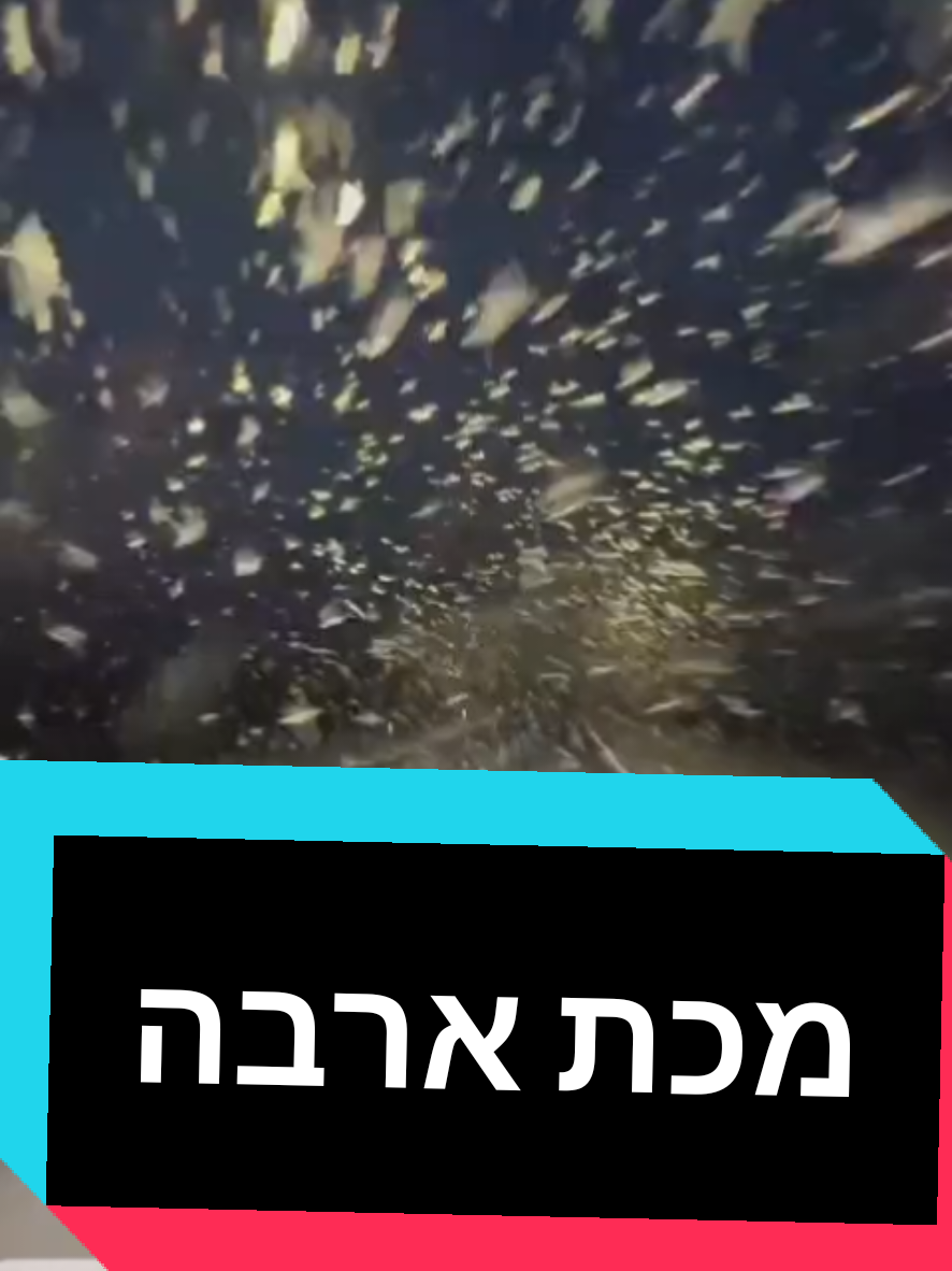 @חשיפות והדלפות ללא צנזורה