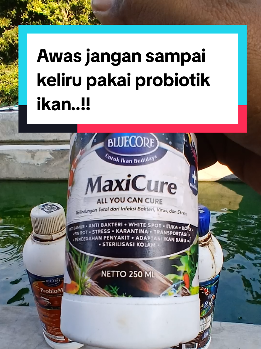 @Kang_Ewi
