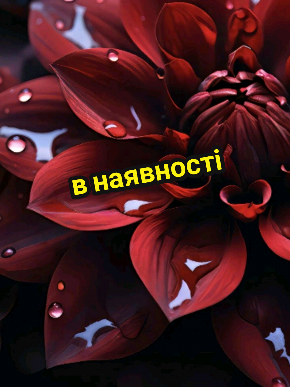 @Фотошпалери 3D | Україна