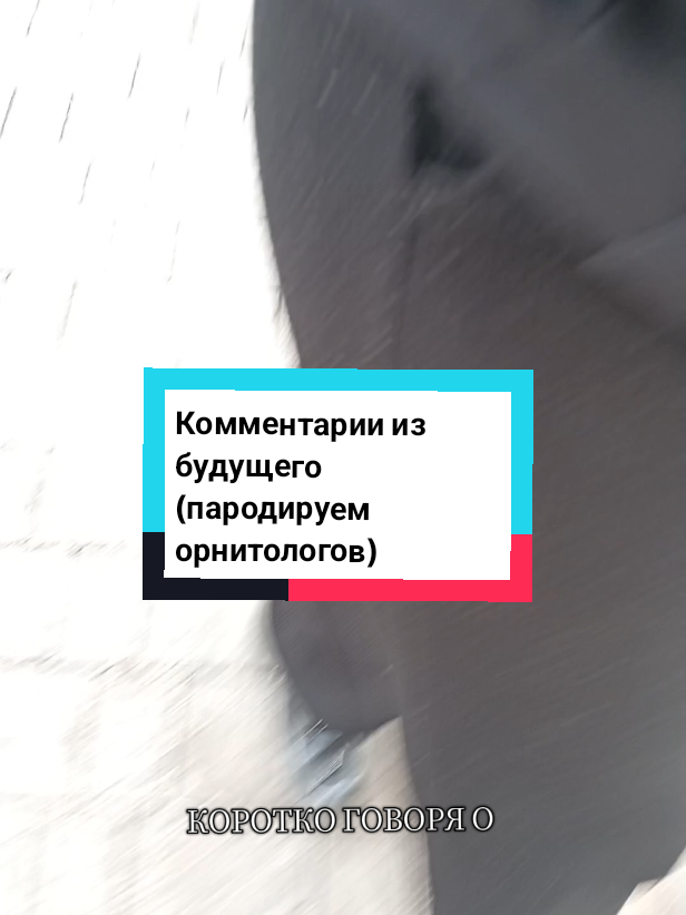 @ФимЭлиз