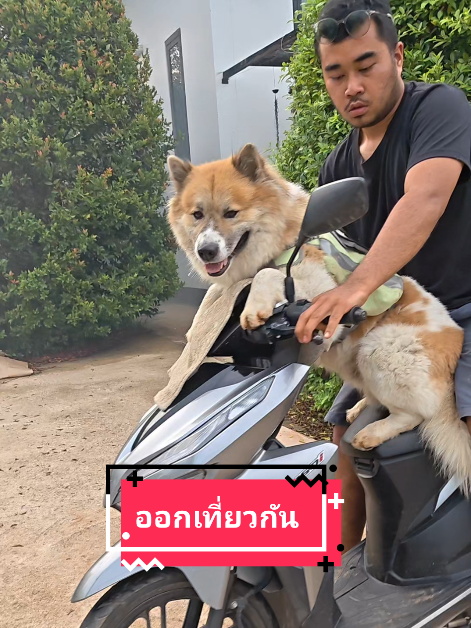 @หลิวหลิว แม่พี่ธอร์