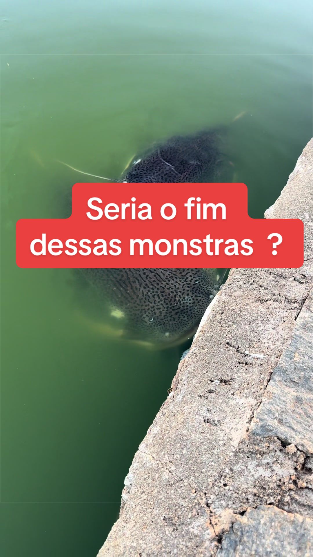 @Dimex Pescador