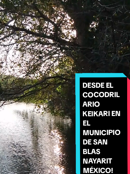 @Eliseo L&oacute;pez