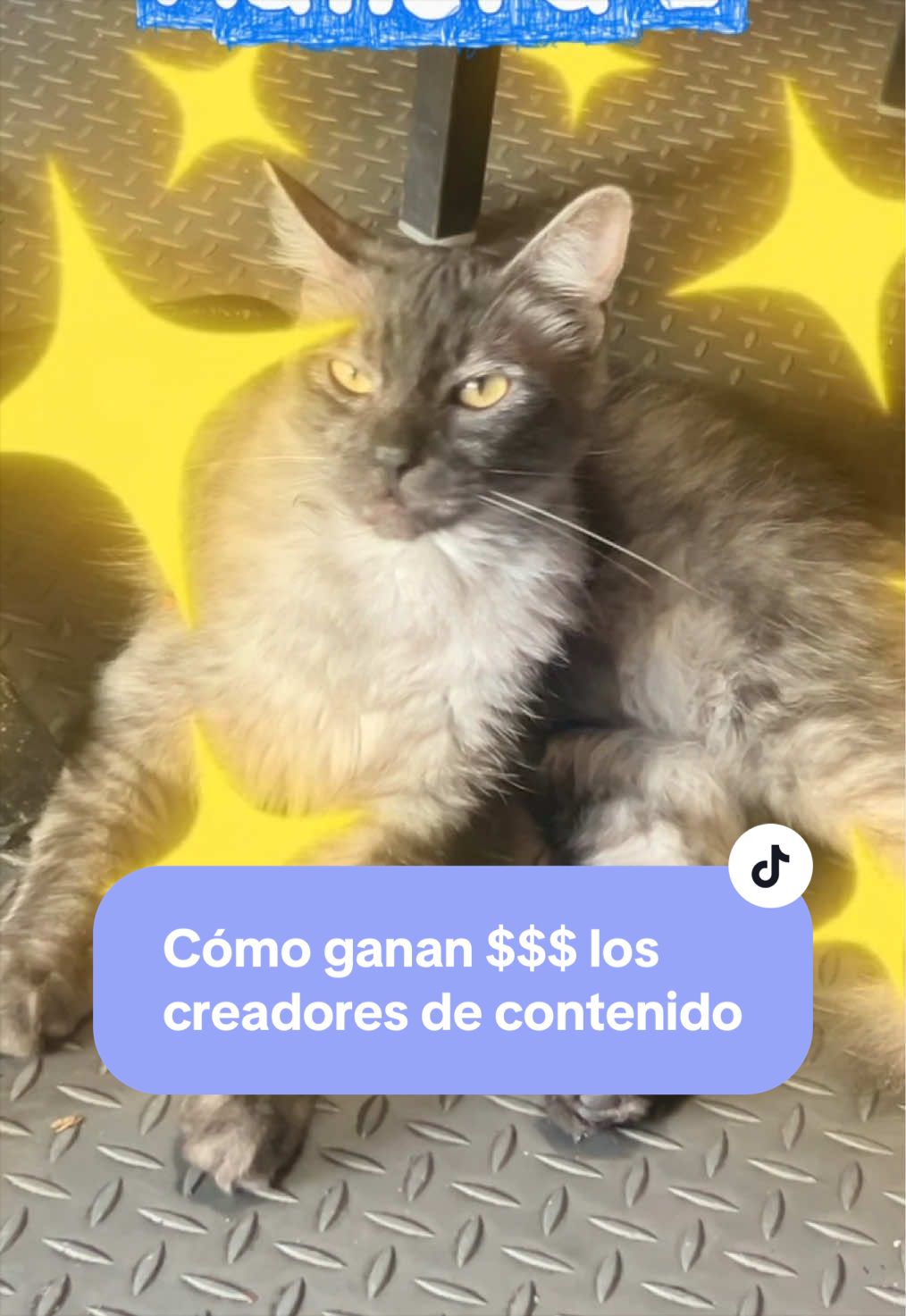 @holasoybelen.sv