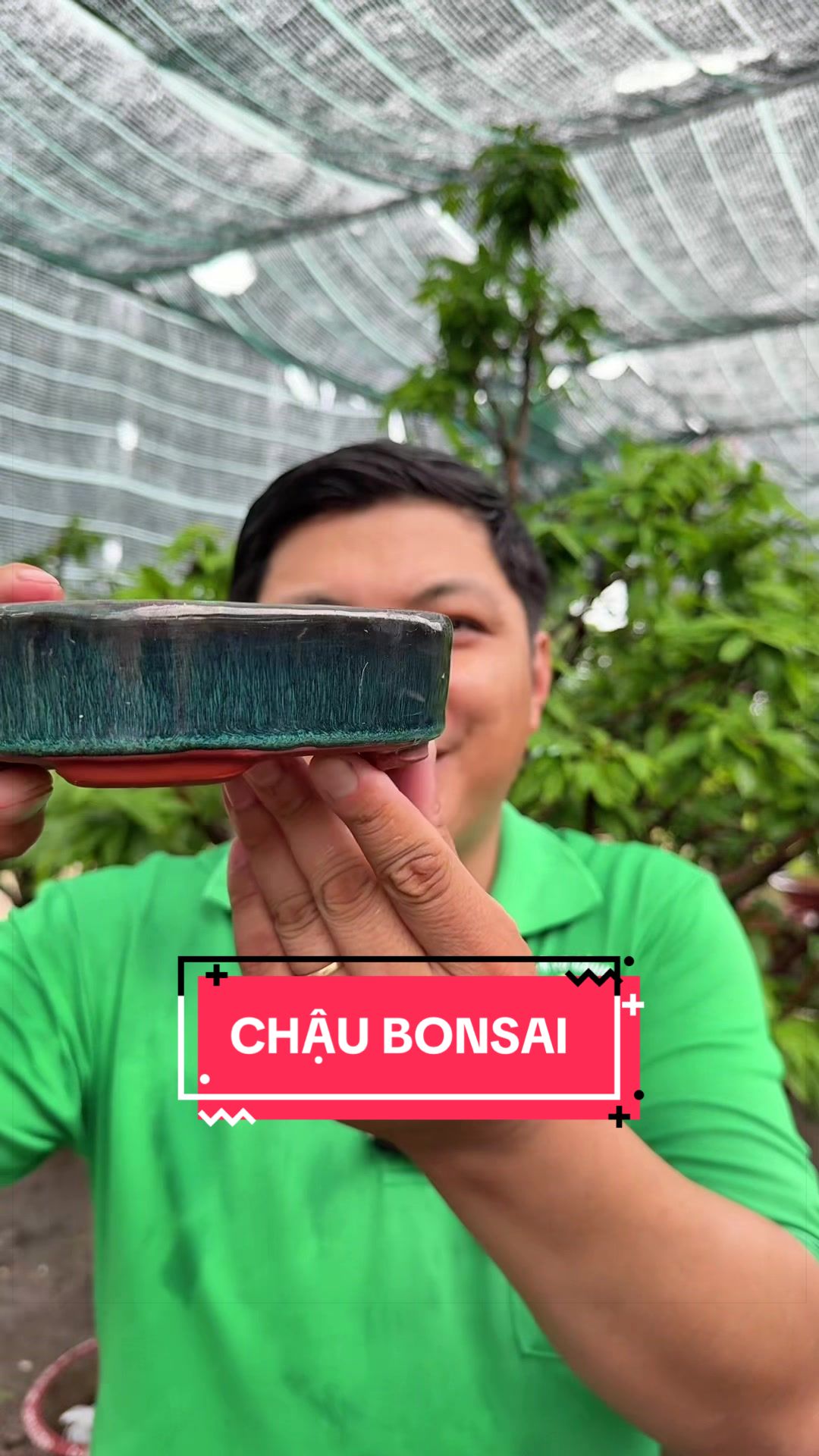 @C&acirc;y Xanh Phong Hồng