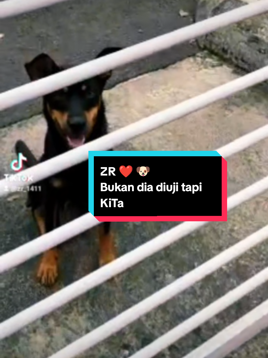 @ZR ๐ฒ๐พ