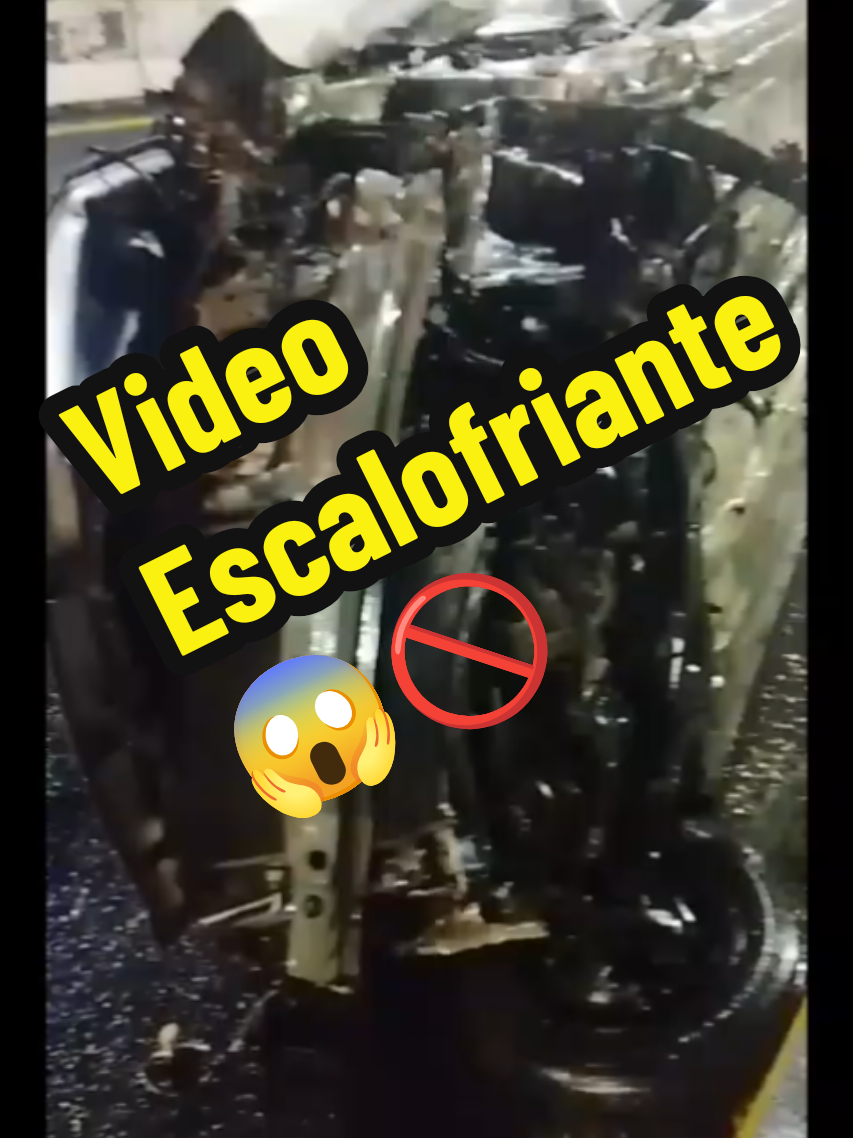 @MAGNETOX