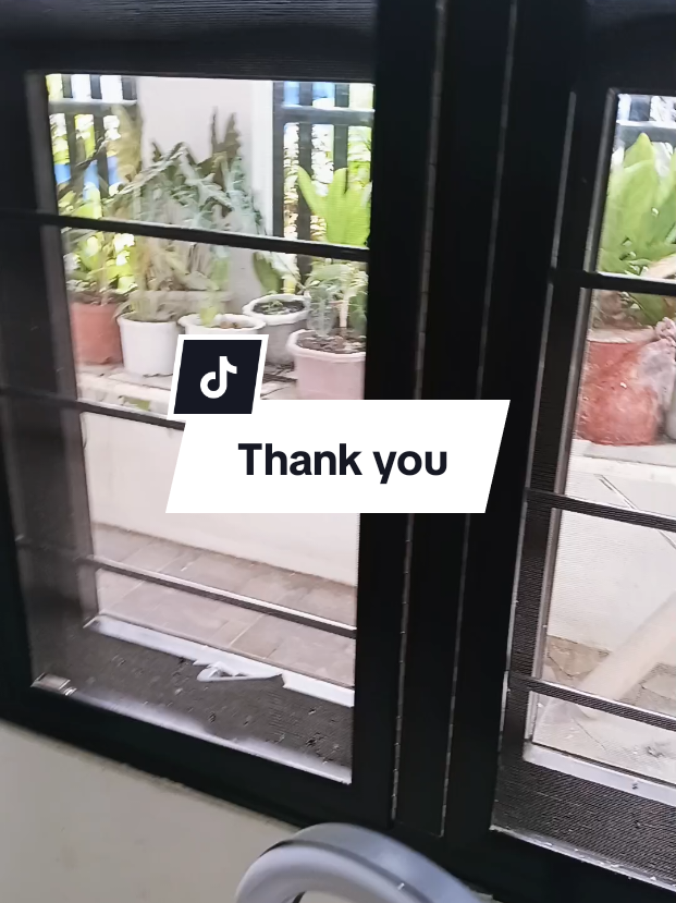 @inday alicia
