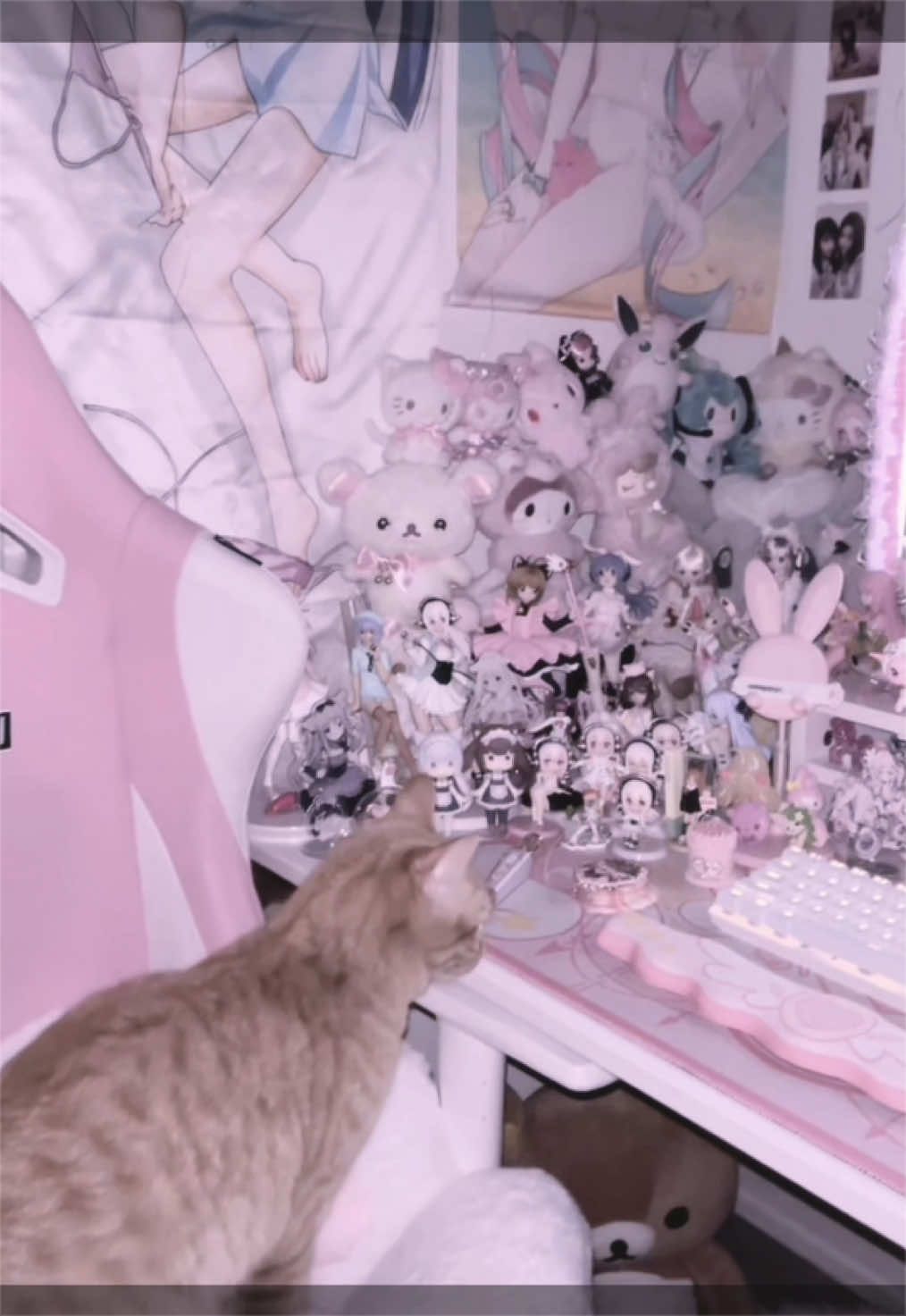 @cinna 𝜗𝜚